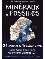 260201_Exposition_fossiles_rotated